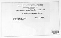 Image Associated With the Occurence